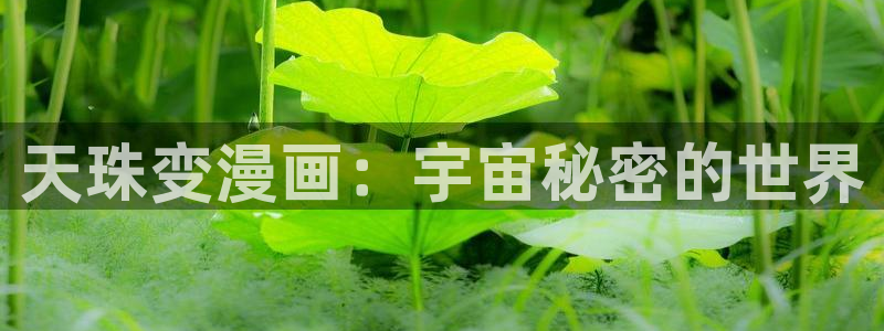 包子漫画图片：天珠变漫画：宇宙秘密的世界
