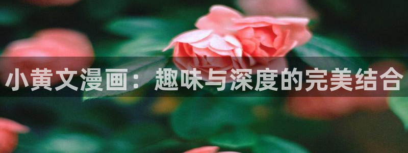 包子漫画下载官方正版：小黄文漫画：趣味与深度的完美结合